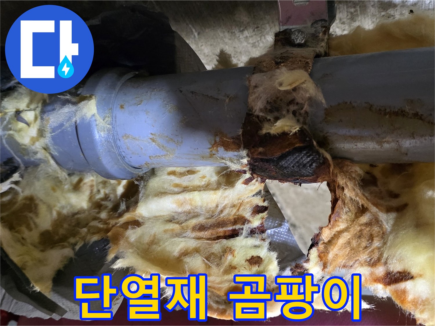창현리 누수 - 젖은 단열재에 곰팡이가 슬어 포자가 확산될 우려가 있습니다.