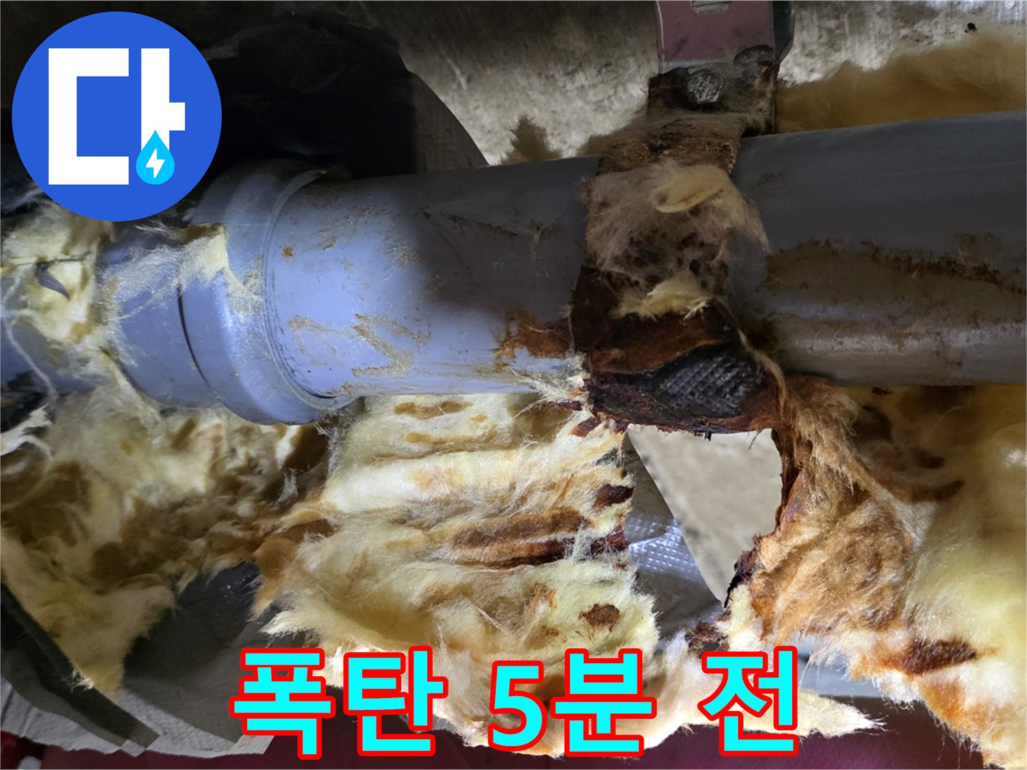 화도읍 두산아파트 누수 - 배관 연결 부위에서 누수가 발생하여 주변에 곰팡이 폭탄이 터지기 5분 전입니다.
