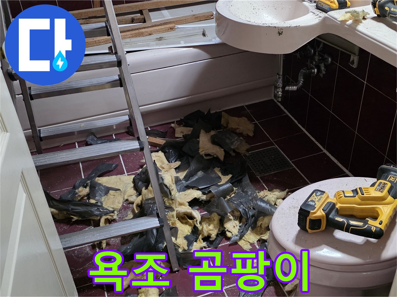 화도읍 두산아파트 욕실 낡은 욕조 철거 후 곰팡이 세상과 조우