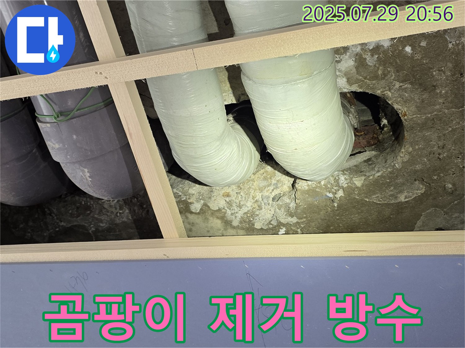 방배동 판테옹빌라 천장 누수 - 배관 주변 곰팡이 제거 후 방수 작업 진행