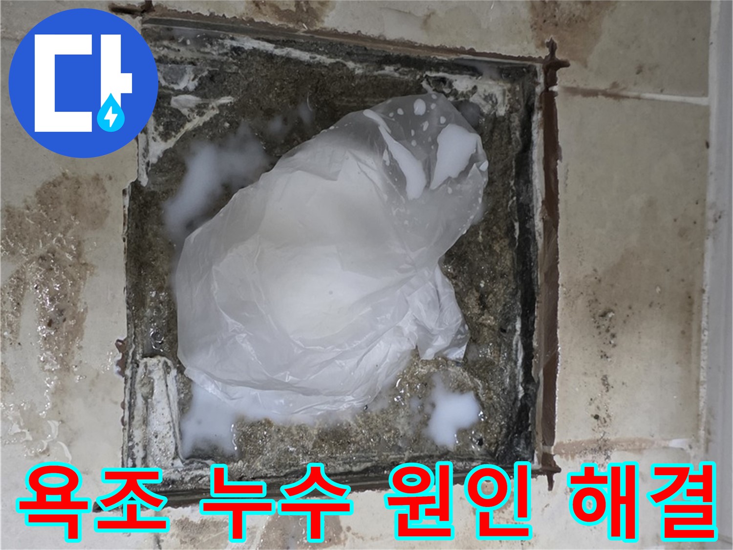 동산동 욕조 누수 원인 파악 및 완벽 해결 - 건물 피해 최소화
