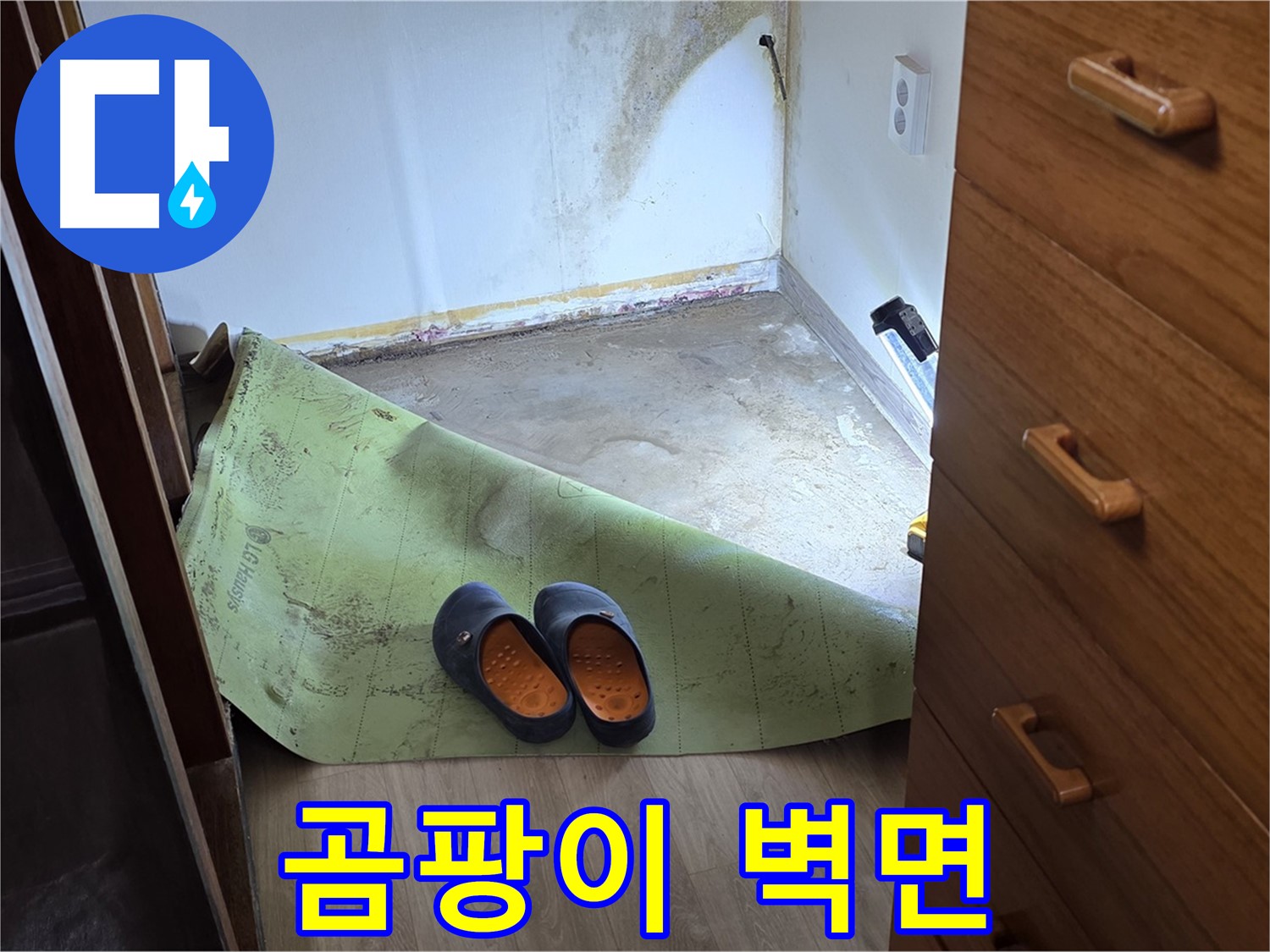 옥인동 주택 - 곰팡이 핀 벽면 - 누수 의심
