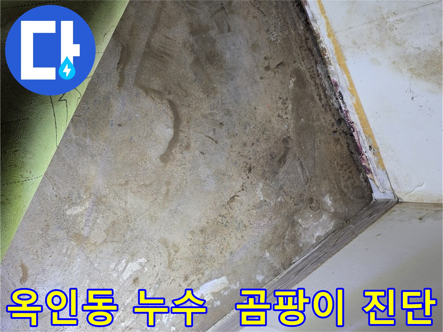 장판 밑 곰팡이 - 옥인동 곰팡이 제거 전 현장 진단