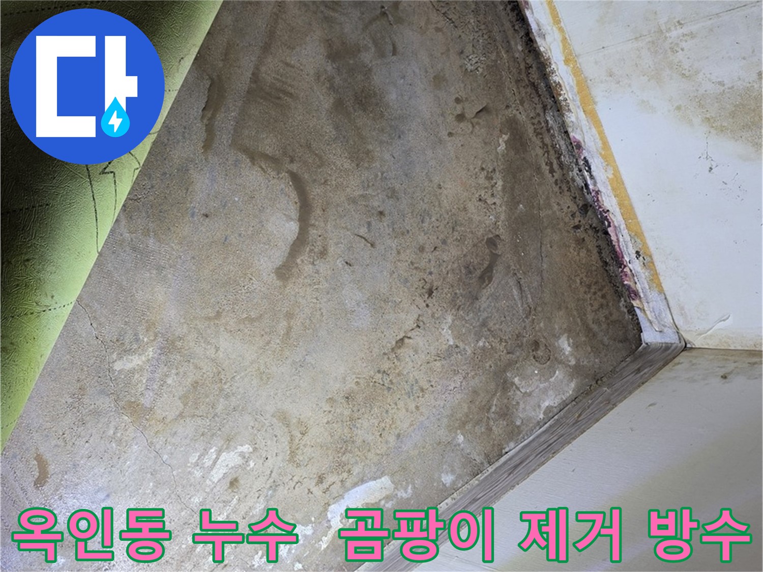 장판 밑 곰팡이 - 옥인동 곰팡이 제거 후 방수 시공
