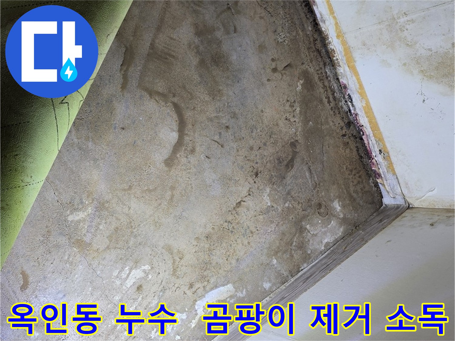 장판 밑 곰팡이 - 옥인동 곰팡이 제거부터 실내 소독까지