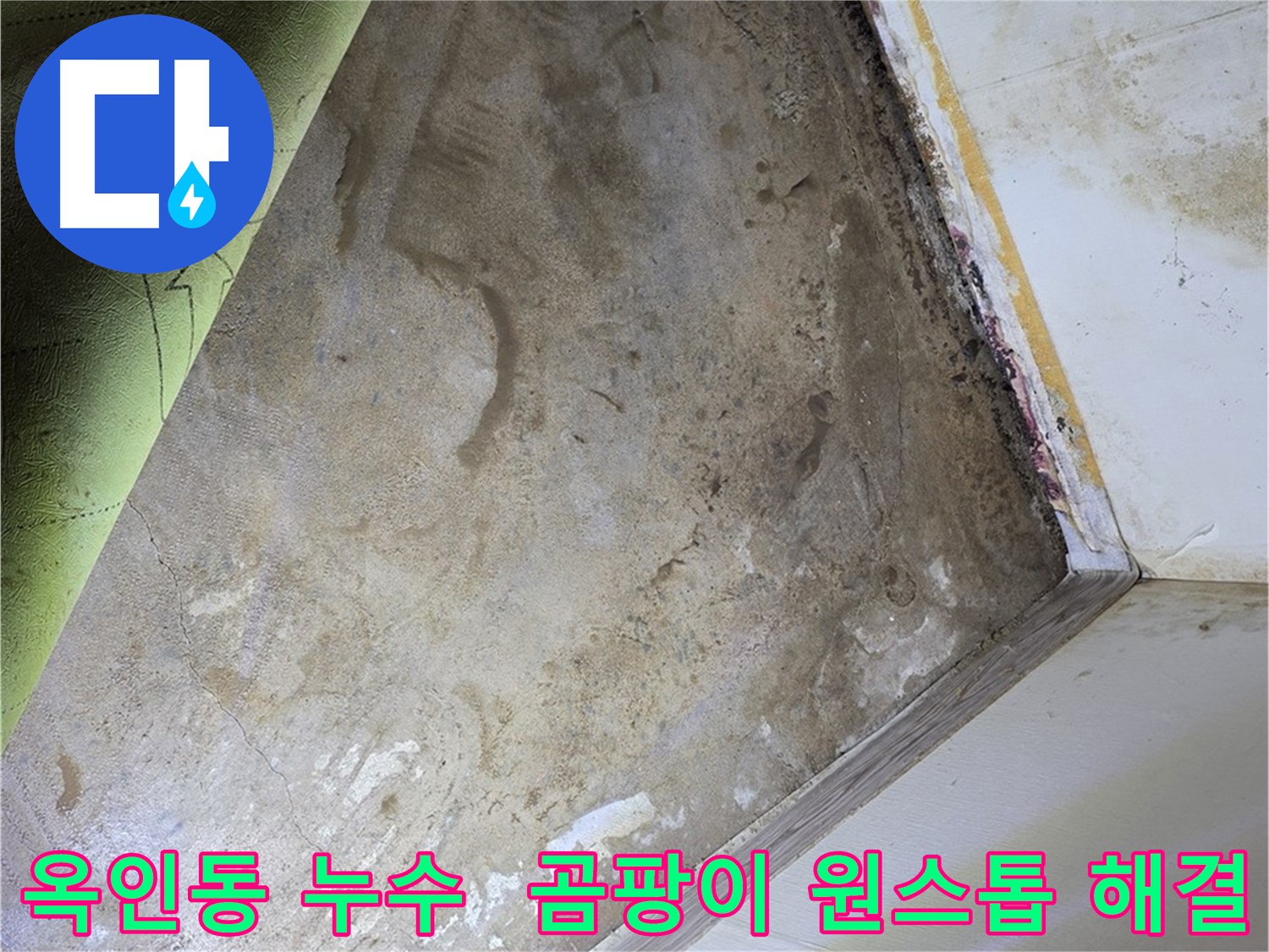 장판 밑 곰팡이 - 옥인동 누수 탐지부터 곰팡이 제거까지 원스톱