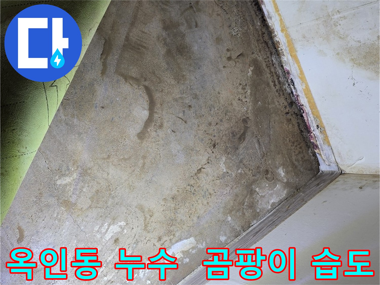 장판 밑 곰팡이 - 옥인동 습도 관리 중요