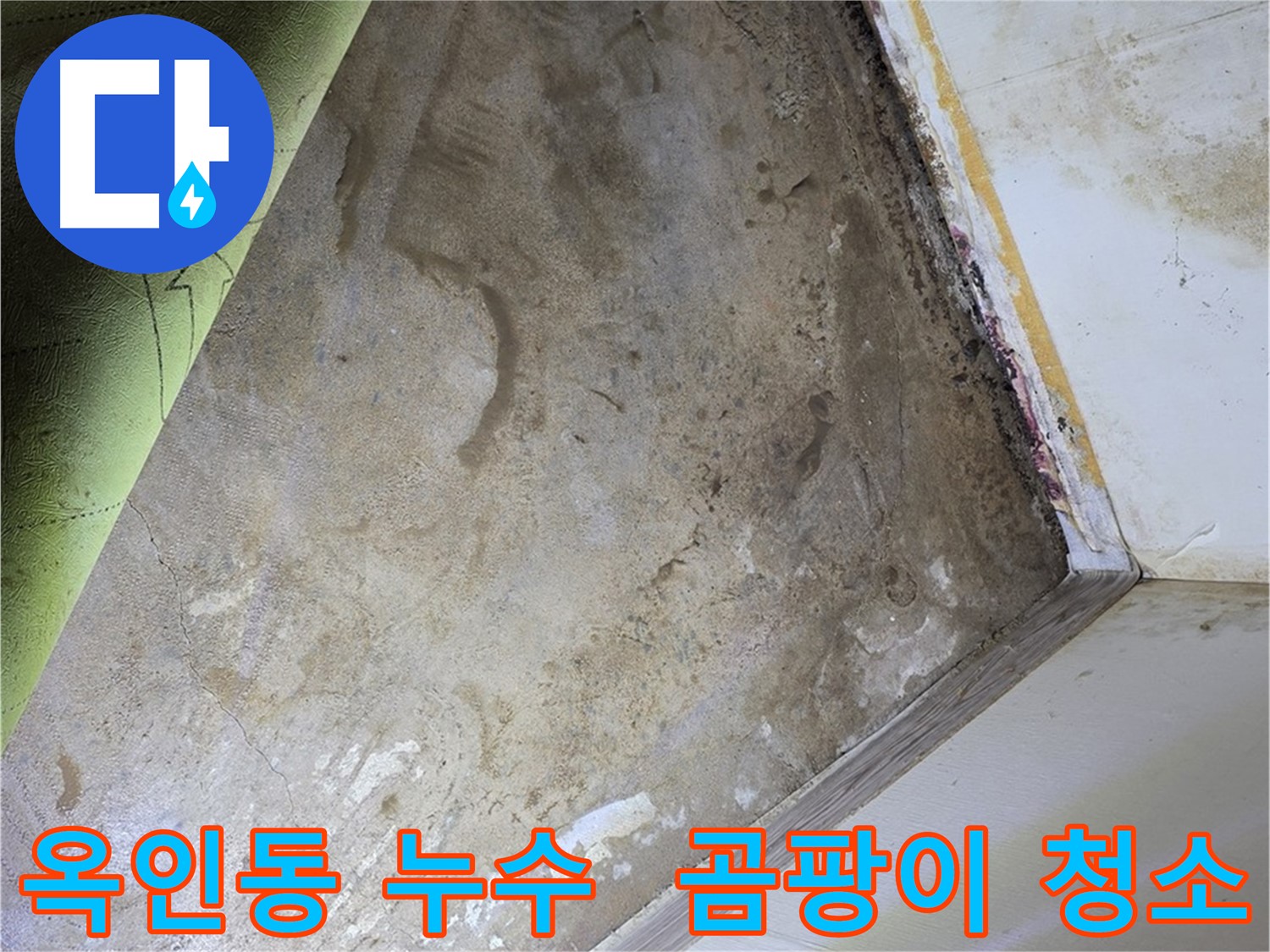 장판 밑 곰팡이 - 옥인동 완벽한 청소 작업