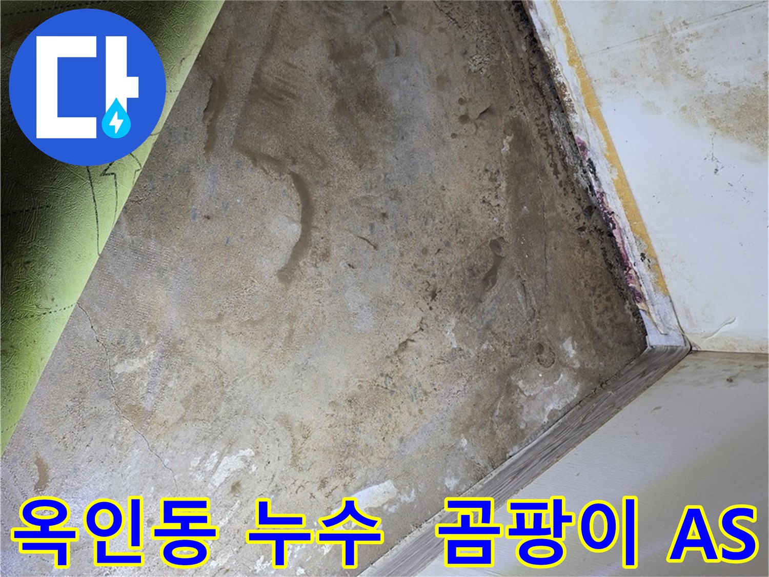 장판 밑 곰팡이 - 옥인동 철저한 A/S 보장