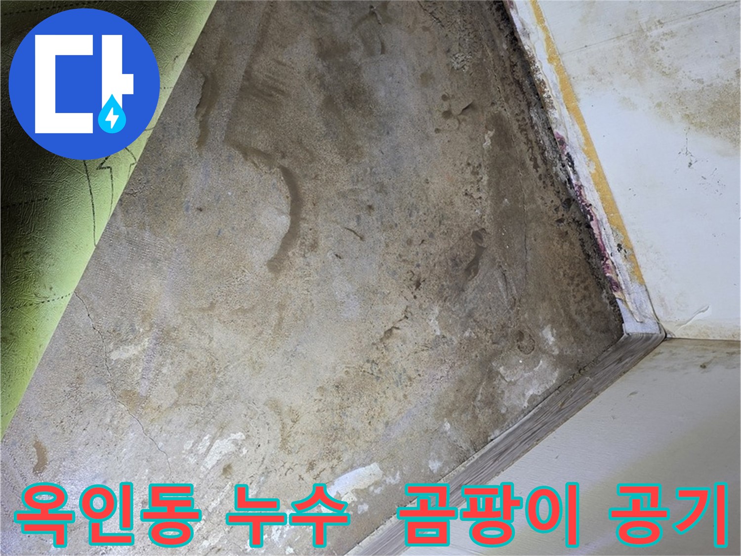 장판 밑 곰팡이 - 옥인동 쾌적한 실내 공기 유지