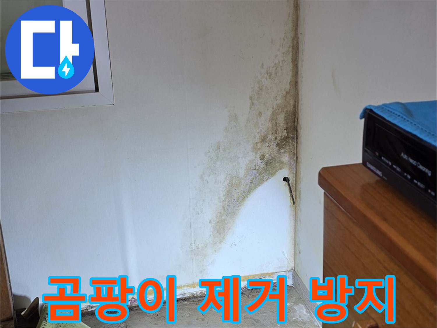 종로구 궁정동 누수 - 누수 해결은 물론 곰팡이 제거 및 방지까지 완벽하게 - 곰팡이 재발 방지