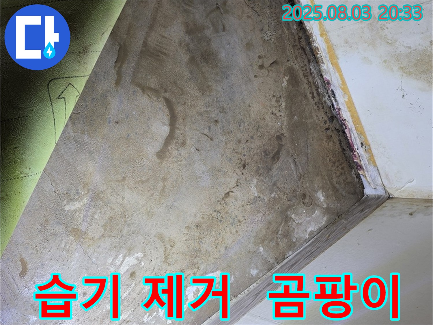 효자동 주택 - 습기 제거, 곰팡이 제거 전문