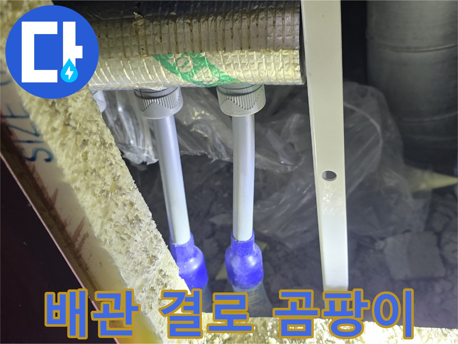삼숭동 누수 방지 - 배관 주변 결로 발생 및 곰팡이 서식 환경 사전 점검 실시