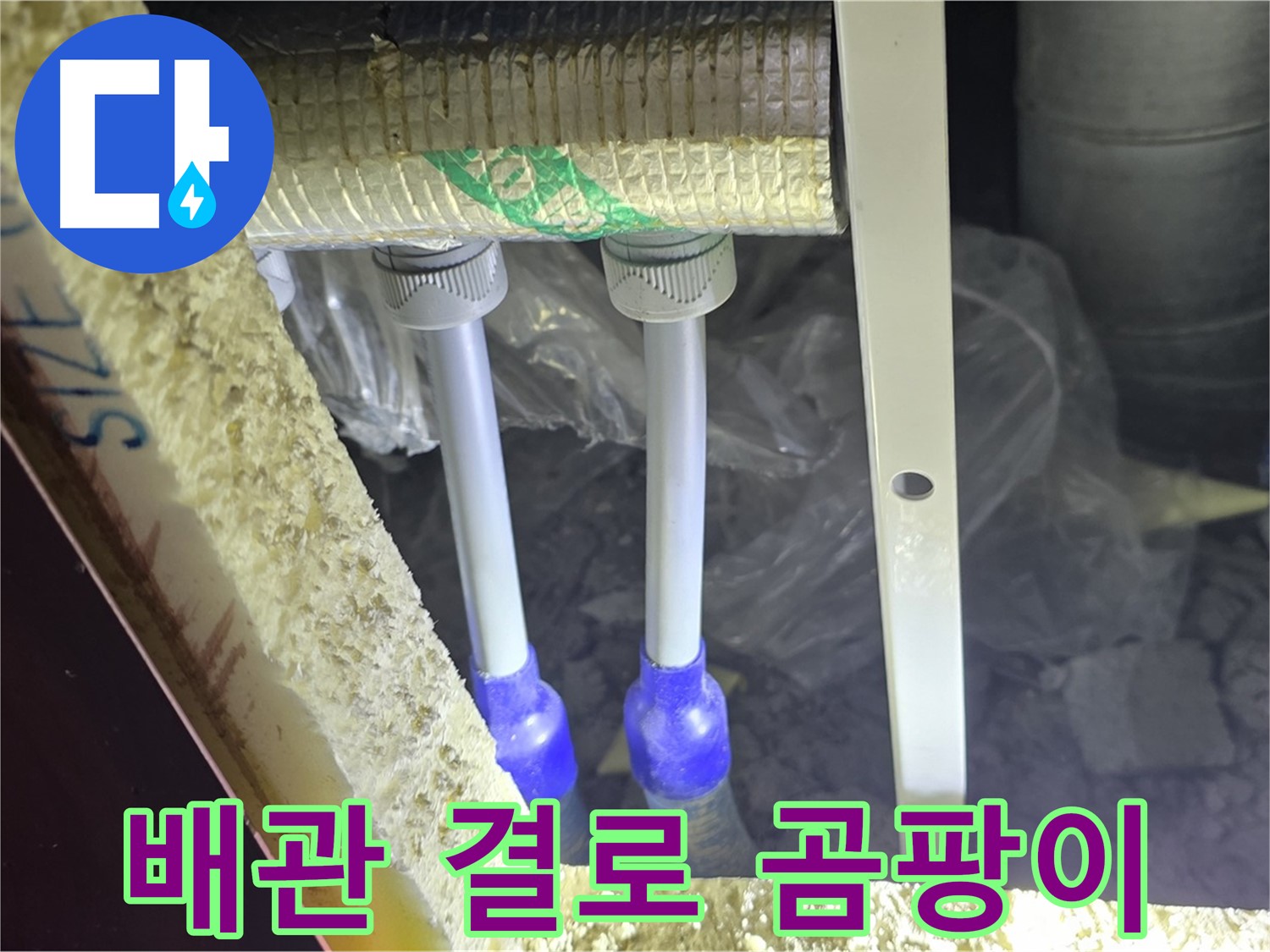 삼숭동 누수 방지 - 배관 주변 결로 발생 및 곰팡이 서식 환경 사전 진단 실시