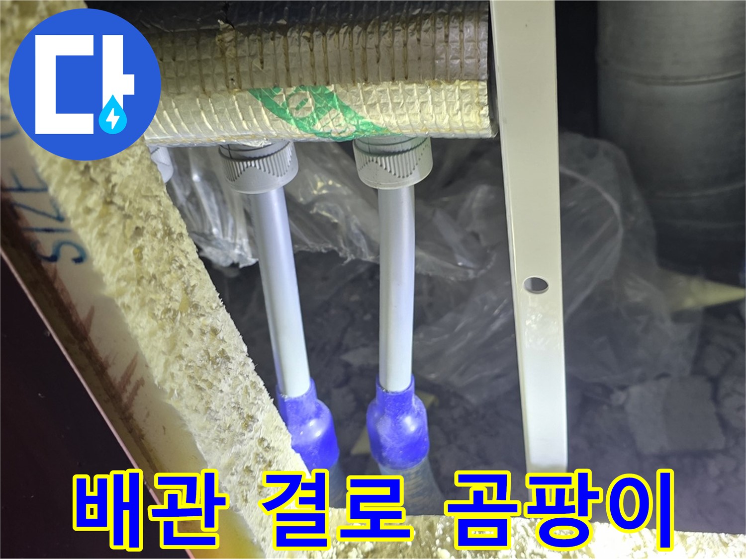 삼숭동 누수 예방 - 배관 주변 결로 발생 및 곰팡이 성장 가능성 사전 진단 진행