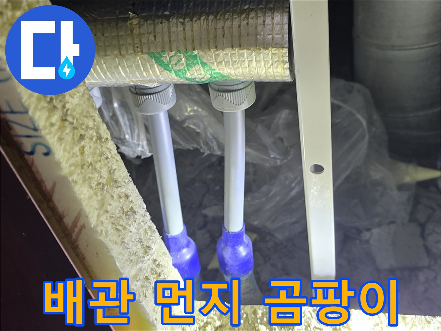 삼숭동 양주자이 누수 - 배관 연결 부속 주변 먼지 뭉침 및 곰팡이 흔적 집중 검사