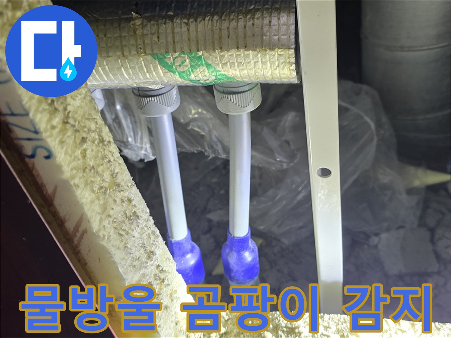 삼숭동 양주자이 누수 - 배관 연결 부속 주변 물방울 맺힘 및 곰팡이 서식 여부 집중 감지