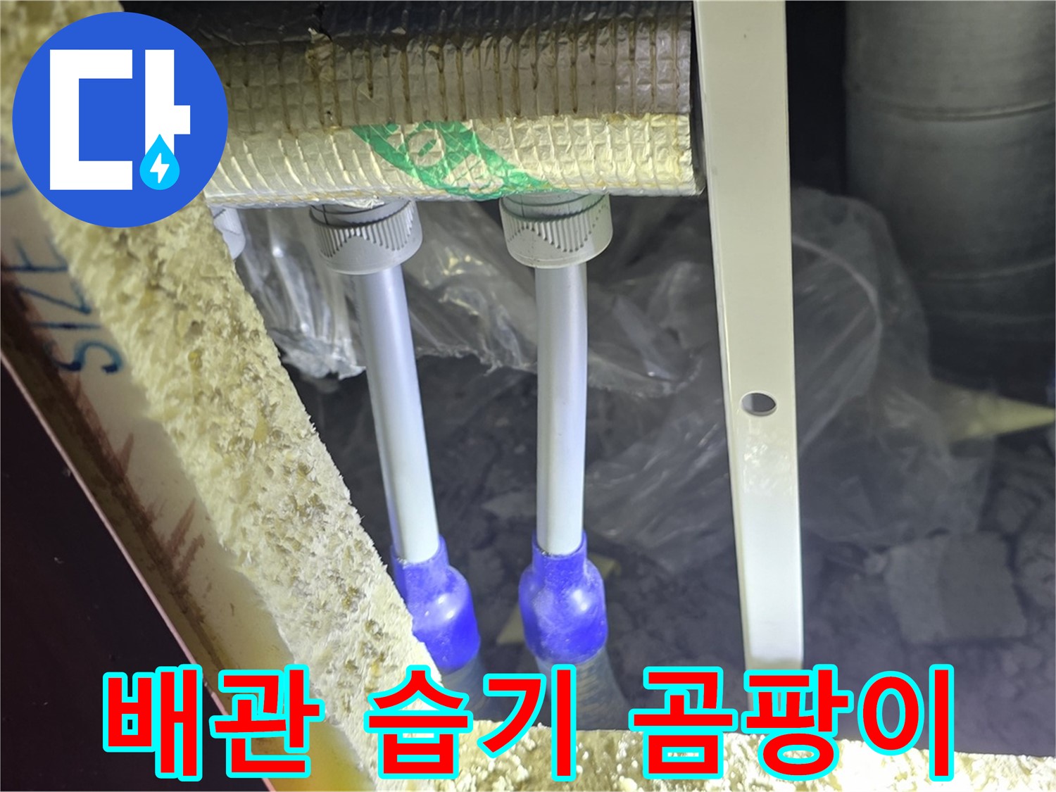 삼숭동 양주자이 아파트 누수 - 배관 연결 부속 주변 습기 및 곰팡이 발생 가능성 면밀 조사