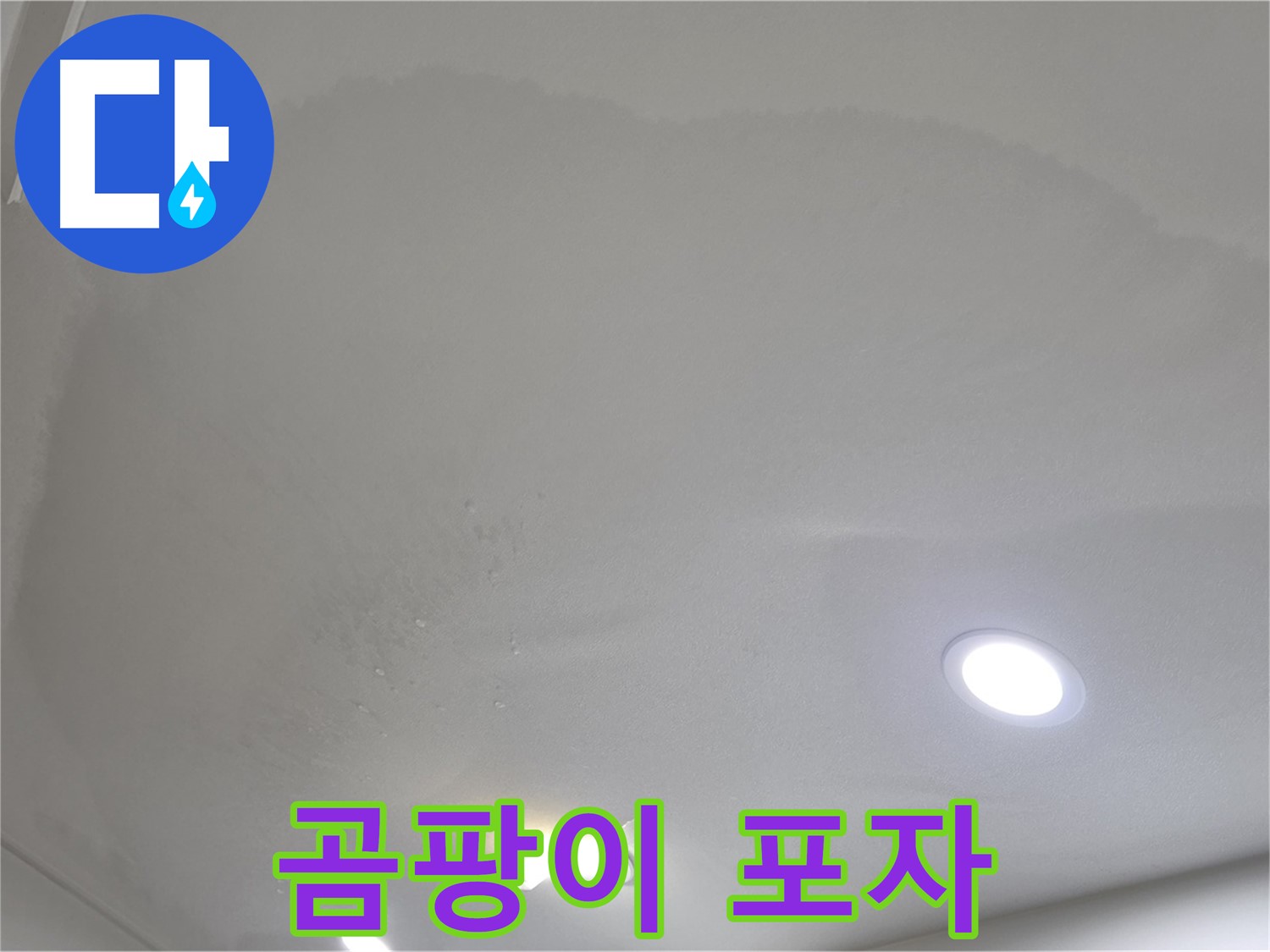 삼숭동 자이 107동 누수 - 습기 찬 천장 - 곰팡이 포자