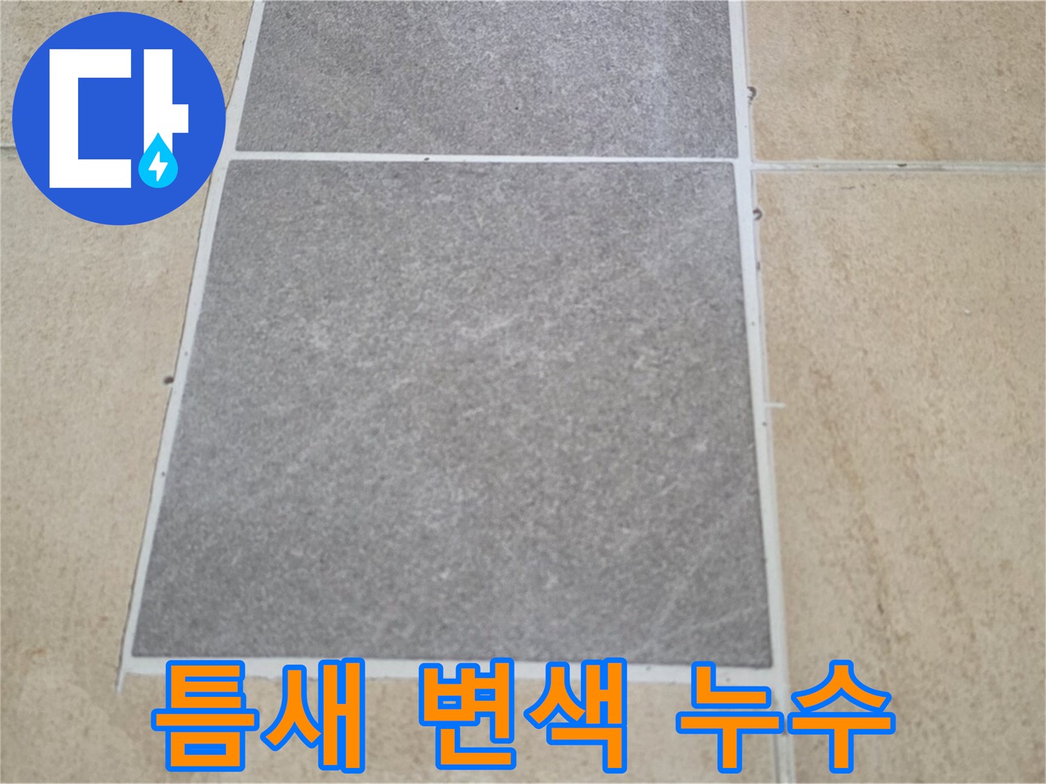 양주 삼숭동 아파트 - 타일 틈새 변색 상태를 확인하여 누수 가능성을 진단하고 있습니다.