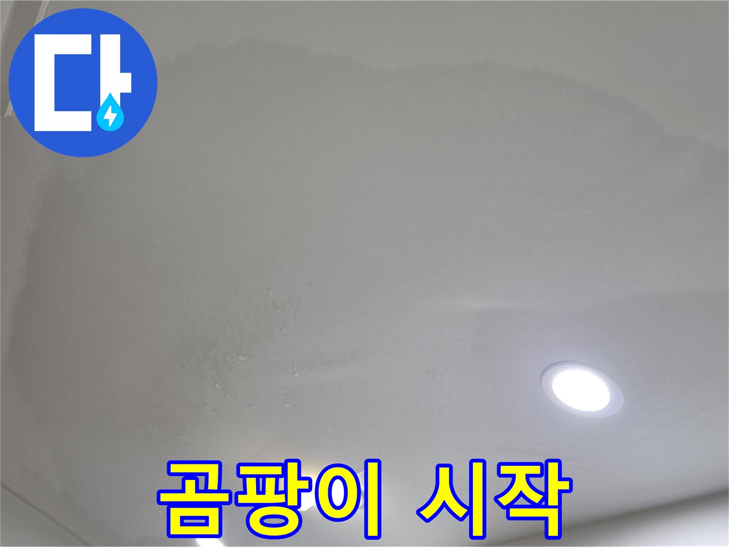 양주 삼숭동 자이 107동 - 축축한 천장 - 곰팡이