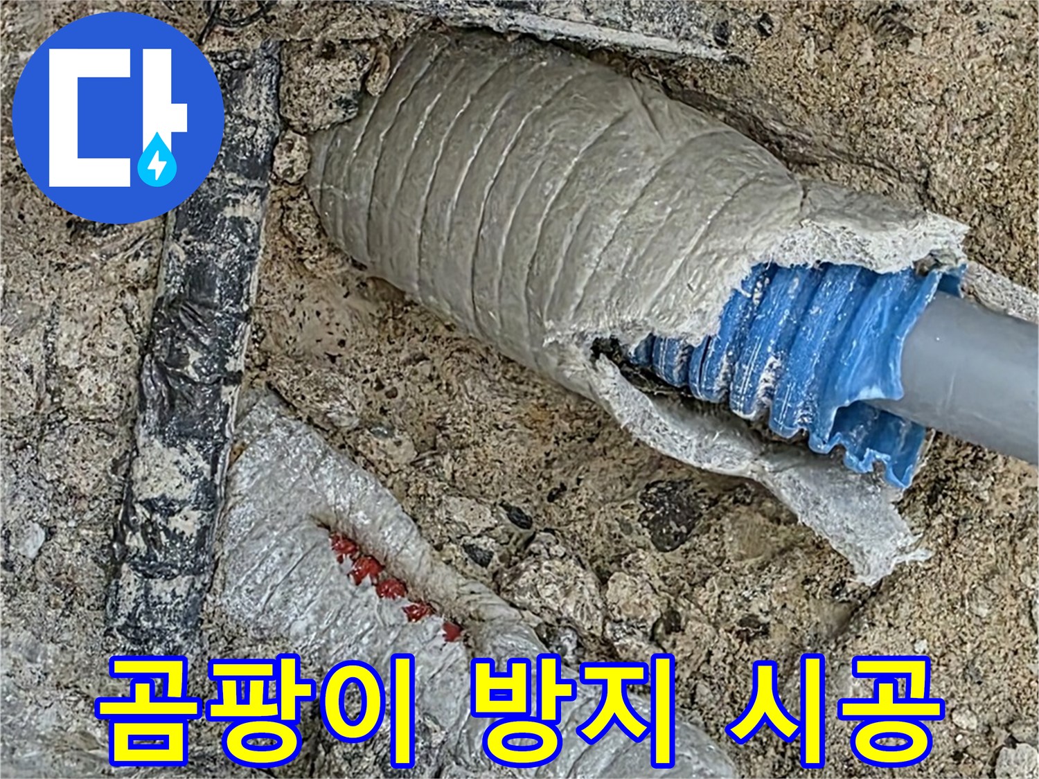 양주 삼숭동 자이아파트 누수 - 누수 해결 후 곰팡이 방지 시공까지 완벽하게!
