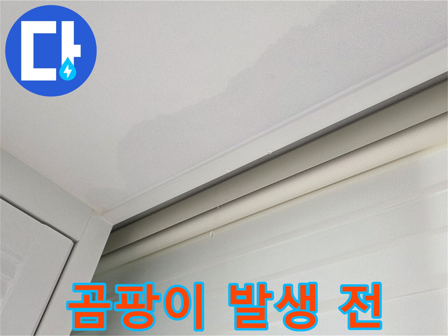 양주 삼숭동 자이아파트 천장 누수 - 곰팡이 발생 전 누수 조치