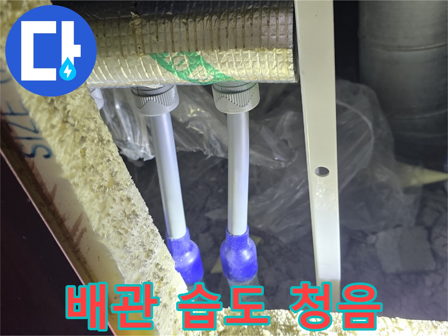 양주 자이 아파트 누수 - 배관 연결 부위 주변 습도 변화 및 미세 누수음 청취 집중