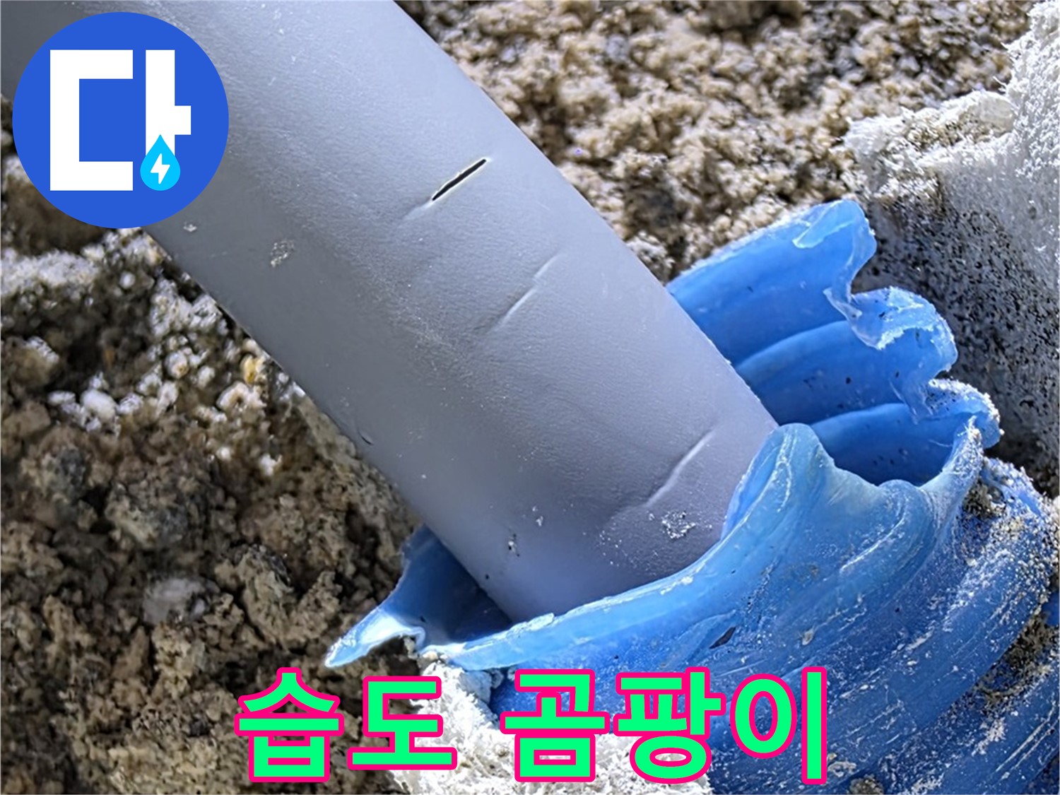 양주 자이아파트 누수 - 배관 주변 습도 및 곰팡이 상태를 확인하여 누수 여부를 판단하고 있습니다 - 정밀 탐지.