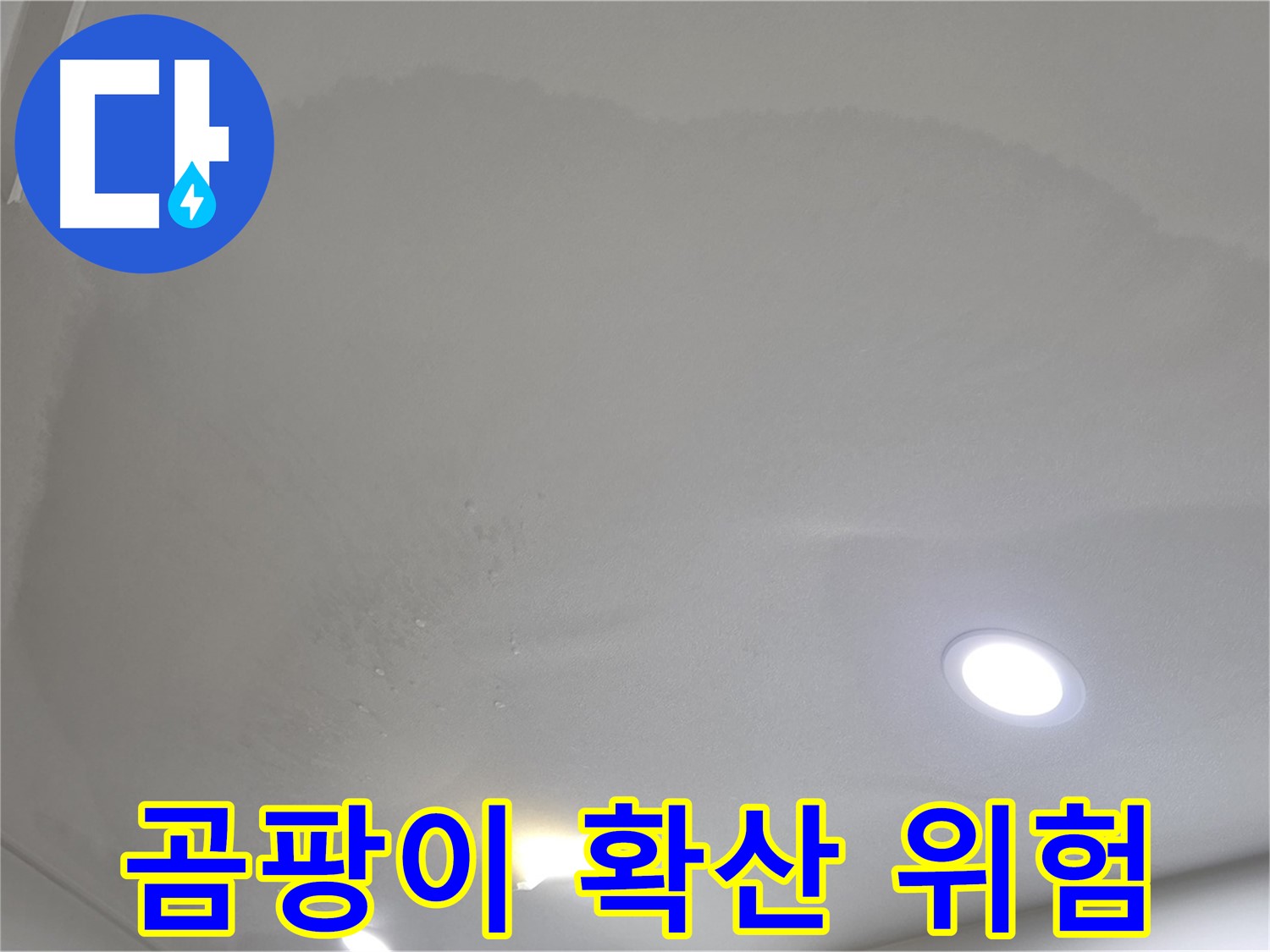 양주시 삼숭동 누수 - 둥근 젖은 천장 - 곰팡이