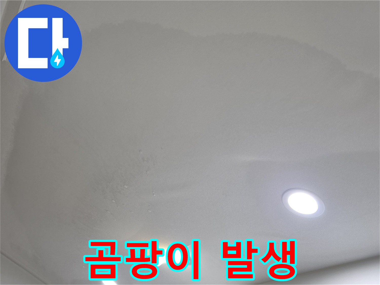 양주시 삼숭동 누수 - 젖은 천장 - 곰팡이
