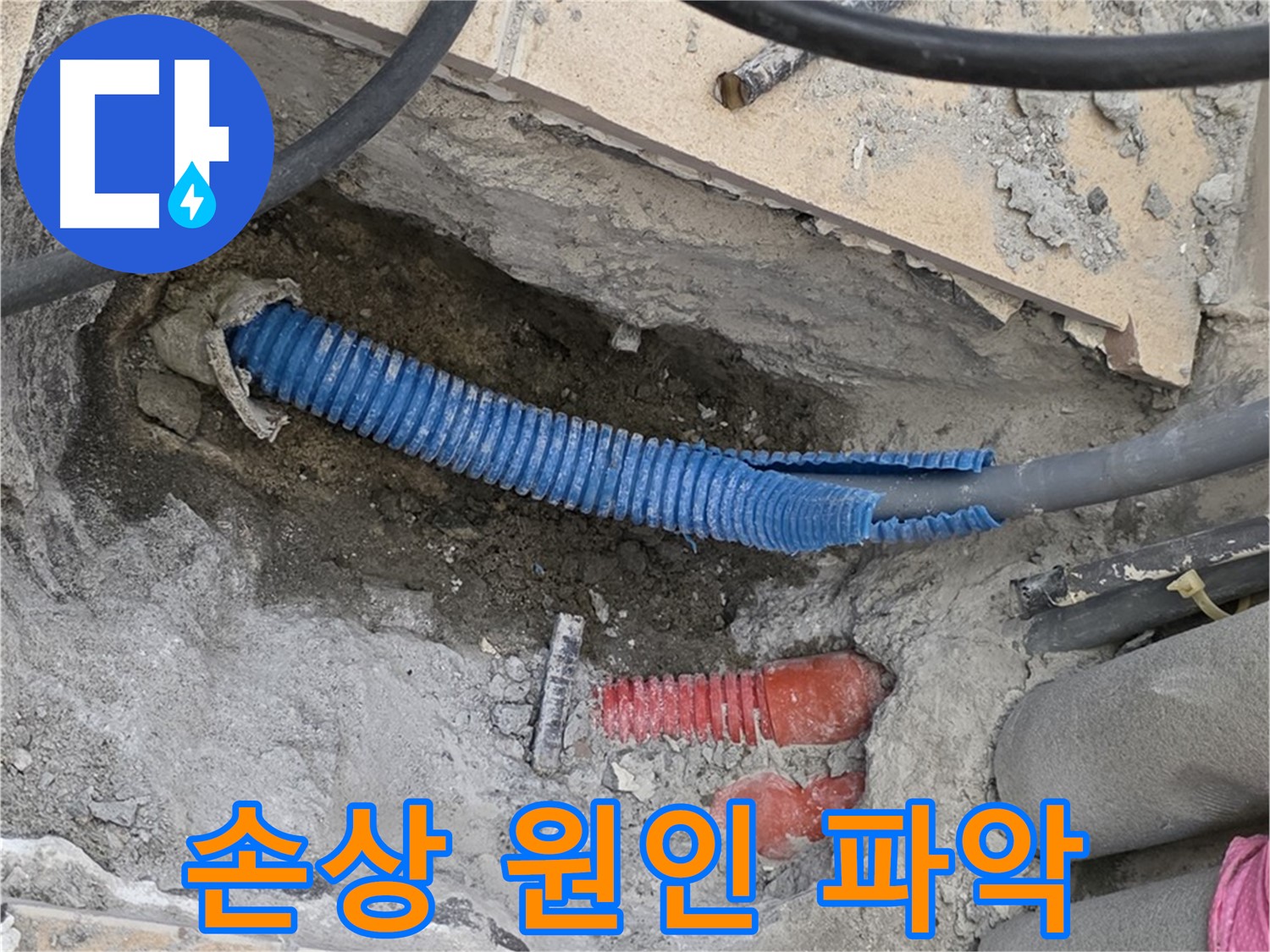 양주 자이아파트 누수 - 배관 손상 원인 파악 중