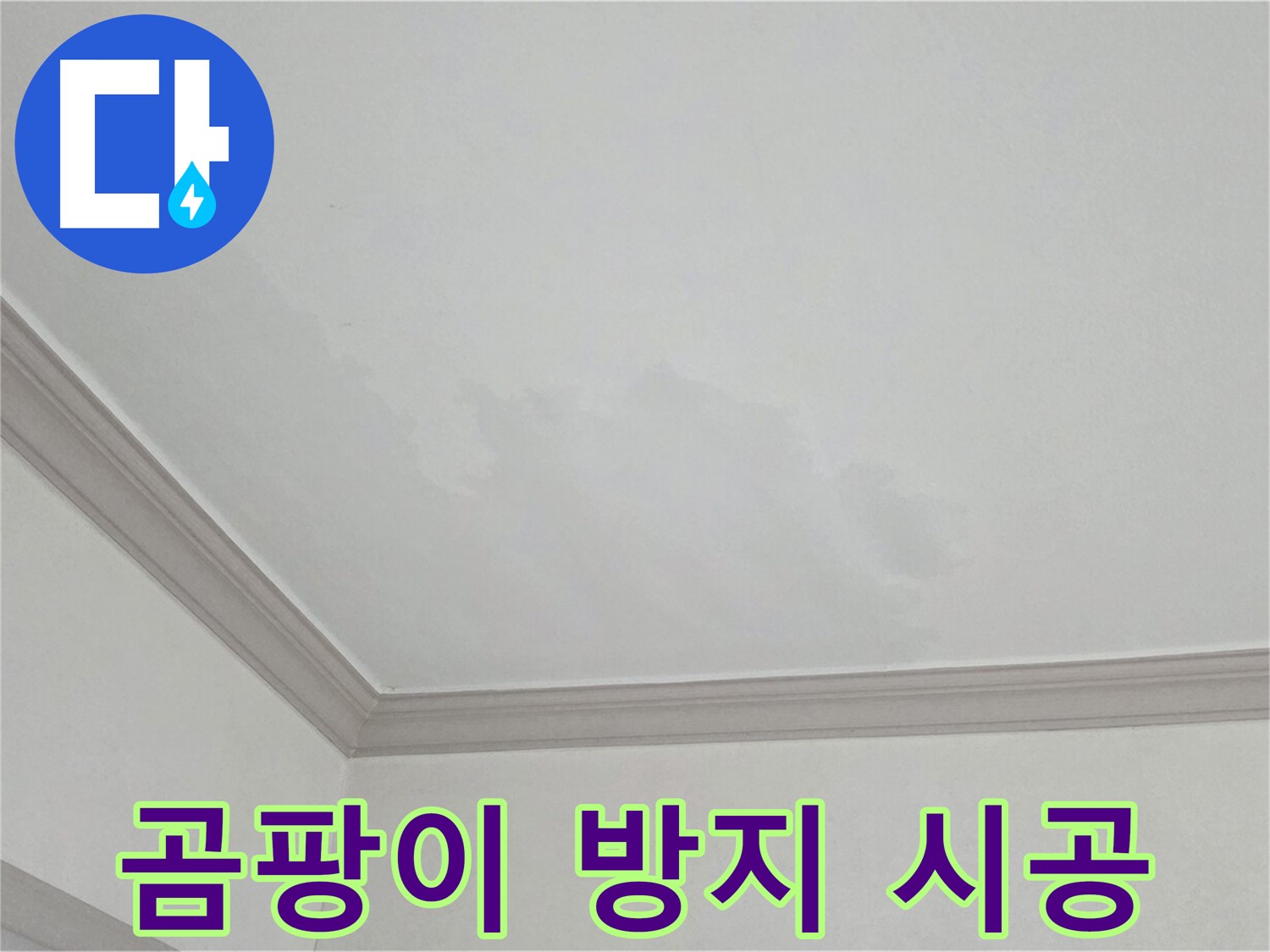 논현주공1단지 아파트 누수 - 곰팡이 제거 및 완벽 방지 시공