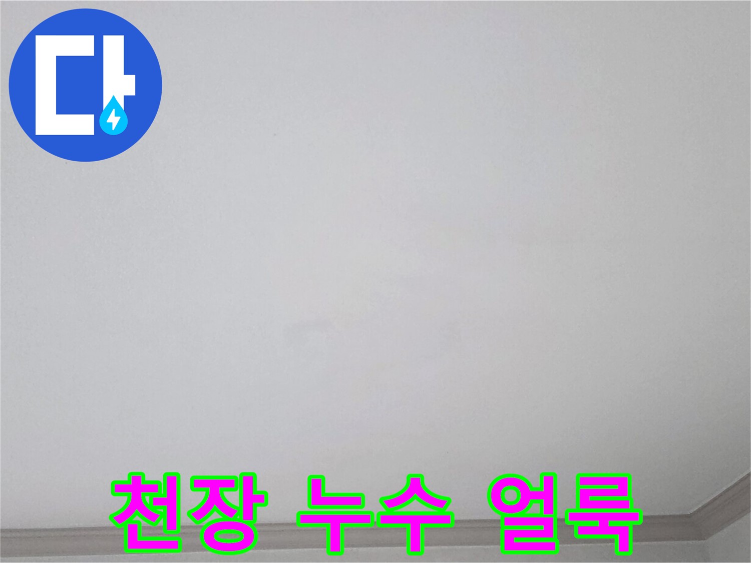 인천 남동구 논현동 논현주공1단지 아파트 천장 누수 - 누수 얼룩 확인 및 누수 범위 측정