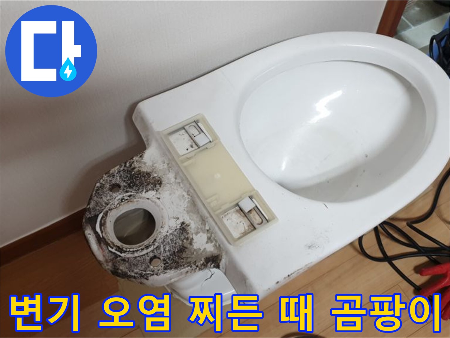 변기 오염 - 찌든 때와 곰팡이 완벽 제거 약속