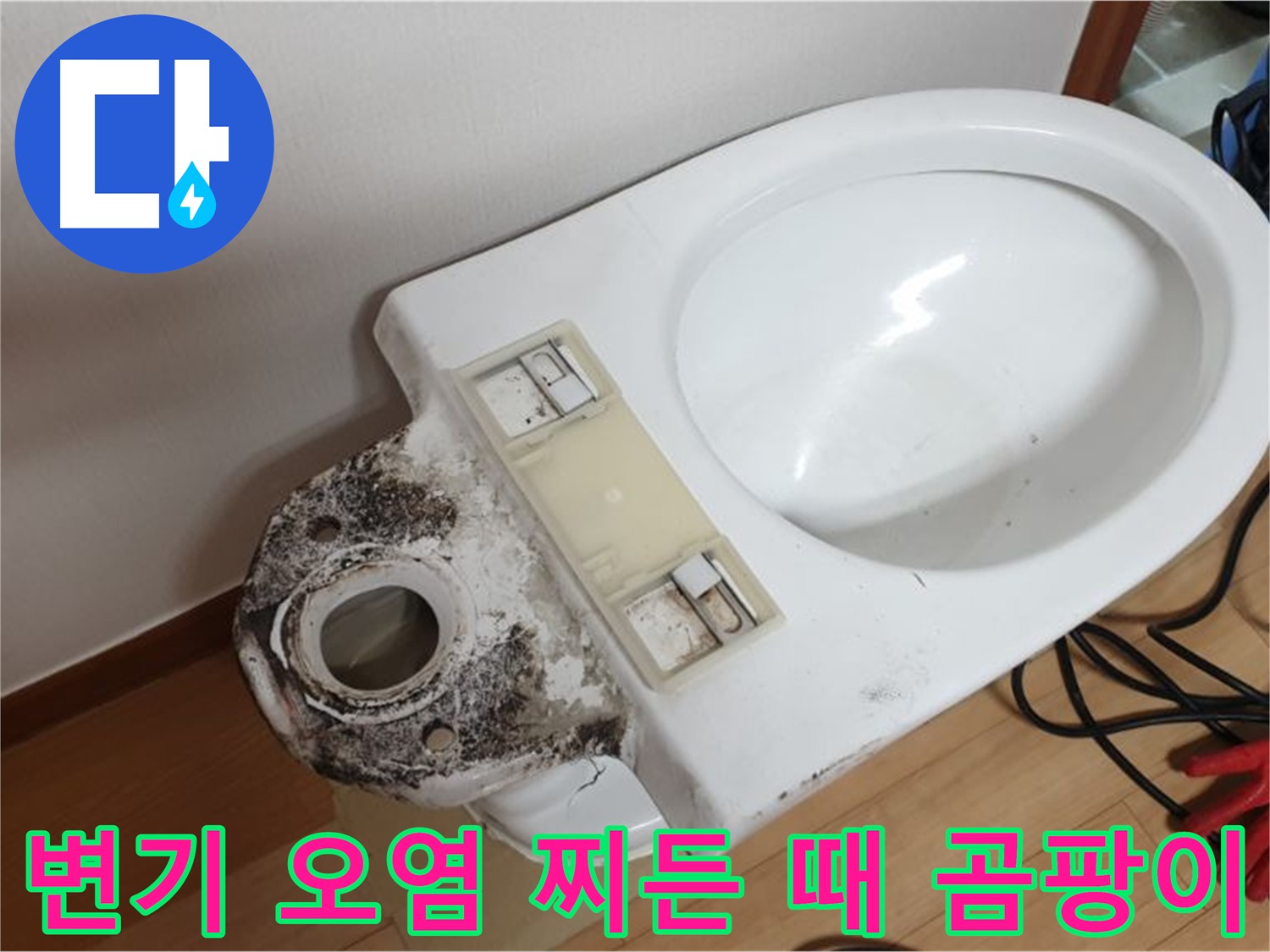 변기 오염 - 찌든 때와 곰팡이 완벽 제거 약속