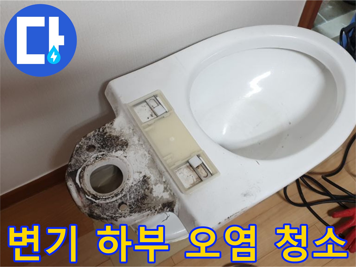 변기 하부 오염 - 꼼꼼한 청소와 완벽한 살균