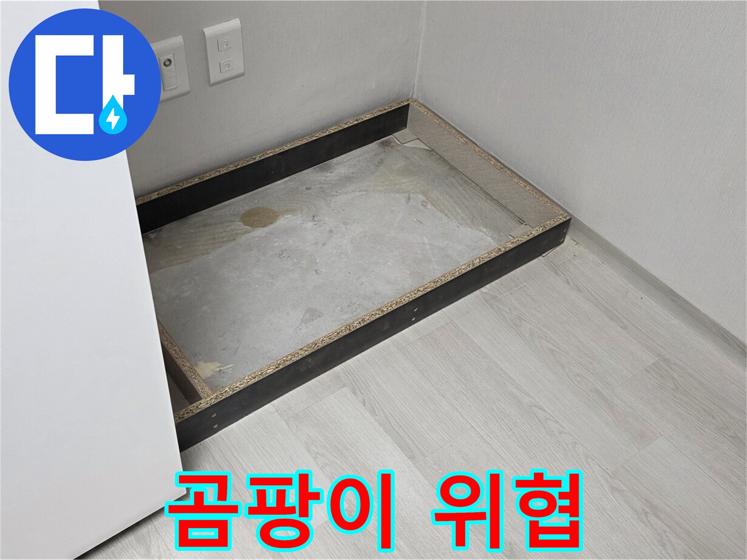 곰팡이 위협 - 누수로 인한 곰팡이는 건강을 위협합니다.