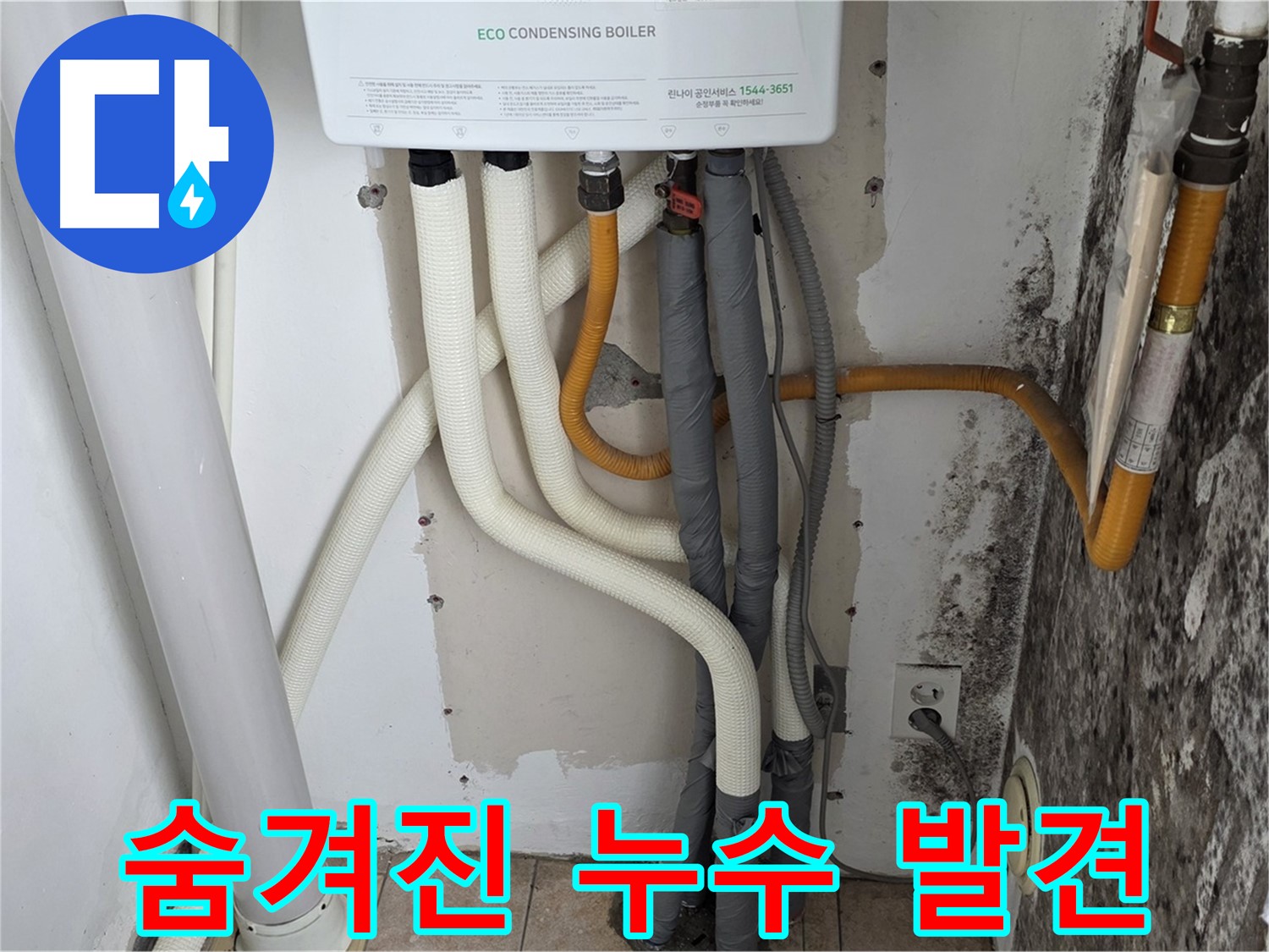 길음1동 아파트 누수 탐지 - 곰팡이 핀 벽, 숨겨진 노후 보일러 배관 누수 지점 발견