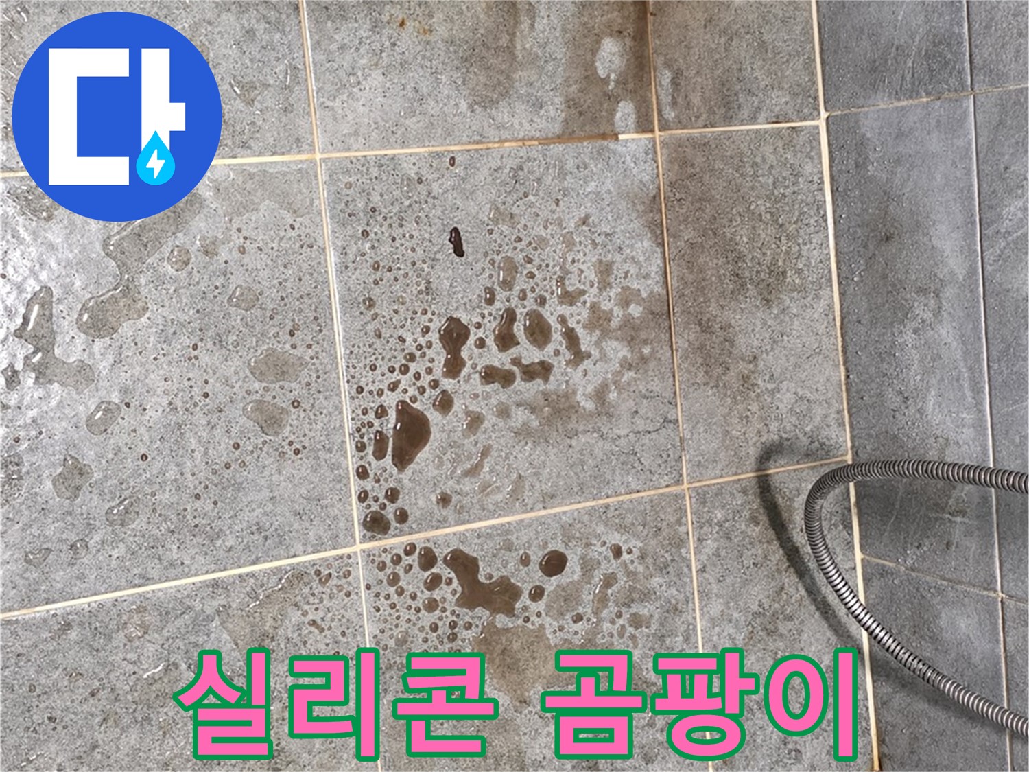 샤워부스 실리콘 마감 불량 - 곰팡이 발생 확인