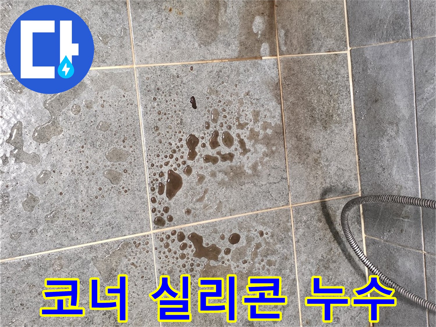 샤워부스 코너 누수 - 실리콘 손상 - 곰팡이