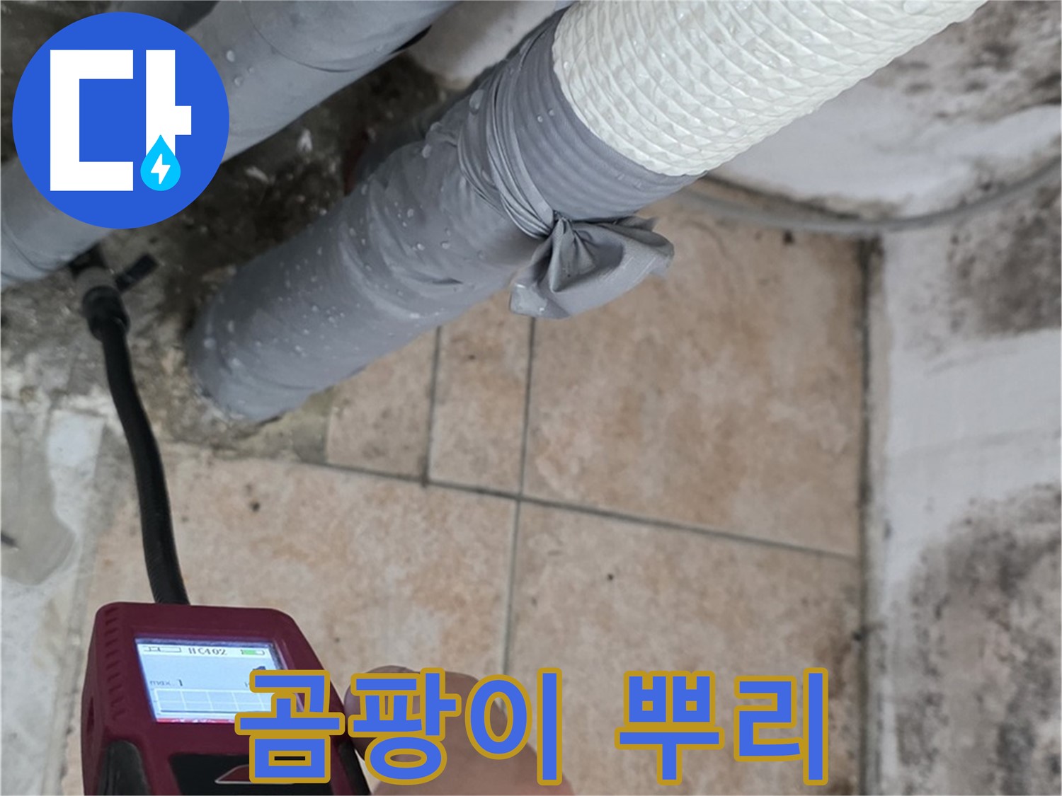 성북구 길음2동 누수 현장에서 습도 측정으로 곰팡이 발생 원인을 진단하고 뿌리까지 뽑아드립니다 - 곰팡이 없는 쾌적한 공간!
