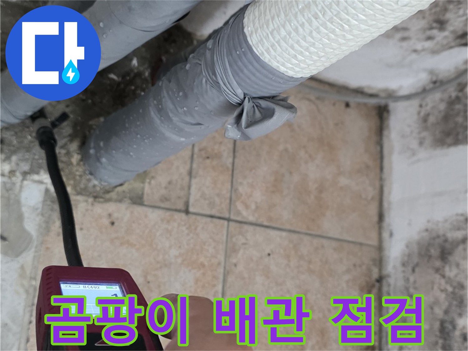 성북구 길음동 누수 현장에서 배관 주변 곰팡이를 꼼꼼하게 점검합니다 - 누수 초기 증상일 수 있으니, 놓치지 마세요!