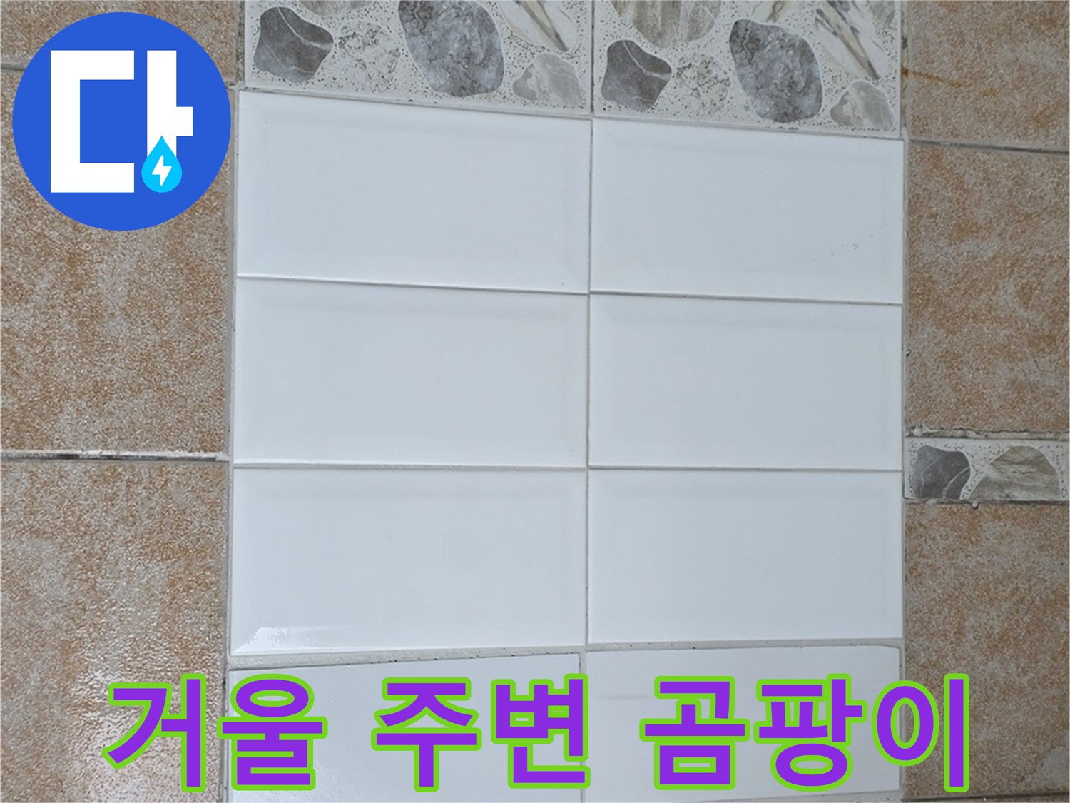 성북구 욕실 거울 주변 곰팡이 - 곰팡이 제거 및 실리콘 재시공
