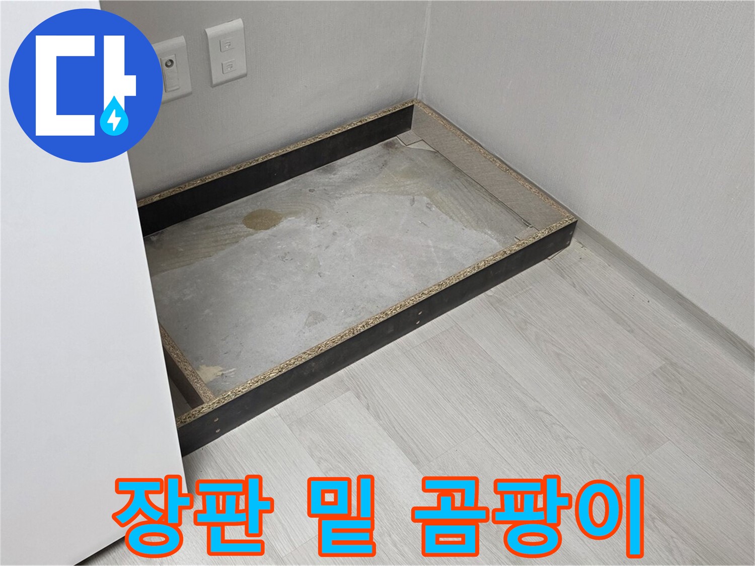 장판 밑 곰팡이 - 충격적인 곰팡이