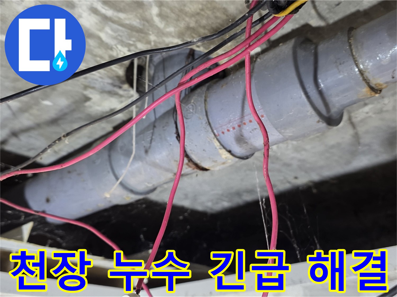 강북구 수유동 삼광빌라 천장 누수 - 신속한 방문과 정확한 진단으로 누수 문제를 해결했습니다.