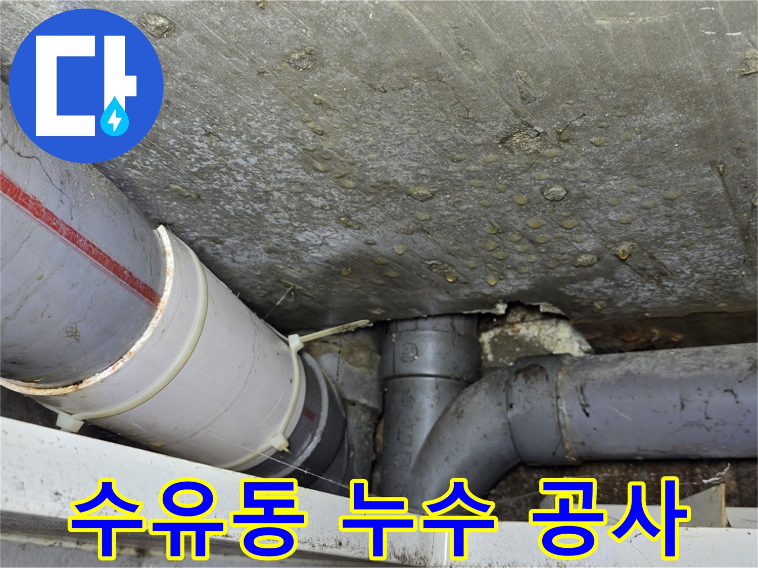 수유동 삼광빌라 누수 - 꼼꼼한 탐지와 완벽한 공사로 해결