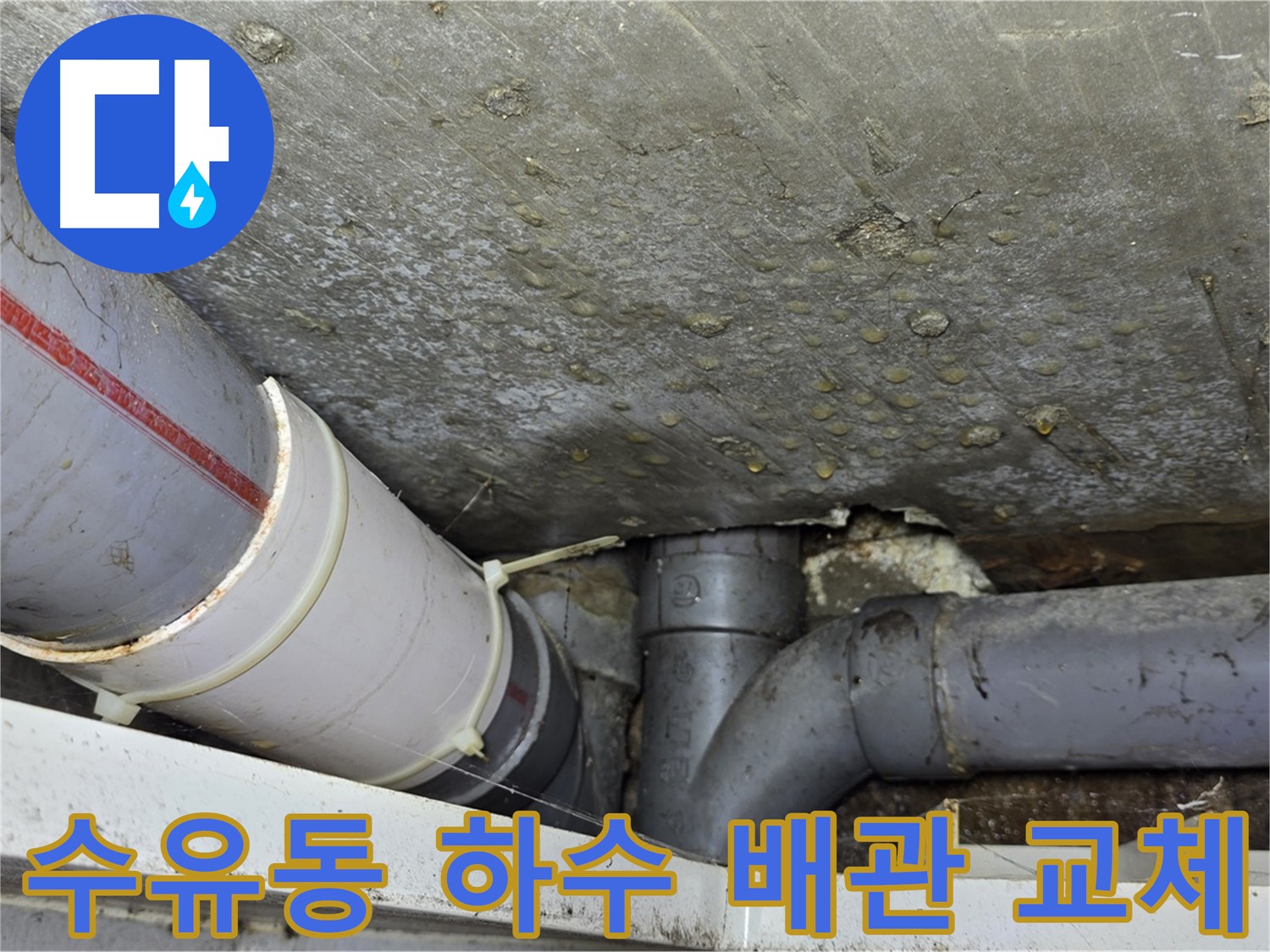 수유동 삼광빌라 누수 - 하수 배관 완벽 교체로 해결