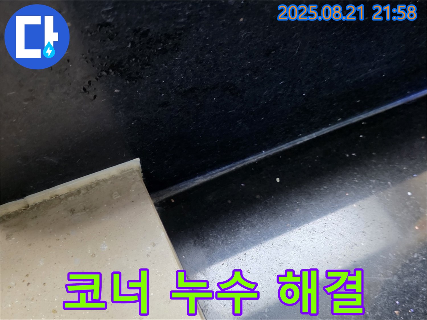 일산 하이파크 누수 현장 - 곰팡이 핀 욕실 코너 타일 틈새를 통해 누수 위치를 파악하고 문제 해결을 위한 준비를 하는 모습