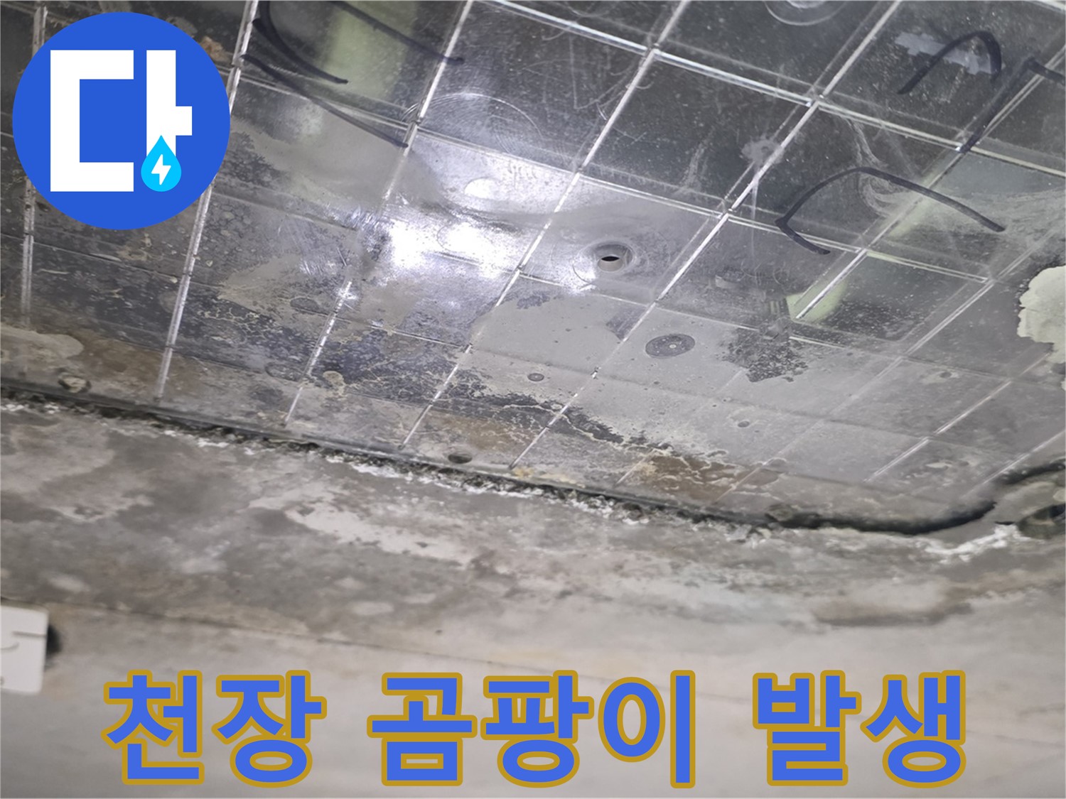 천장 곰팡이 발생 - 누수로 인해 천장에 곰팡이가 심하게 번식하고 있습니다.